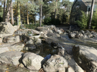 Center Parcs De Kempervennen