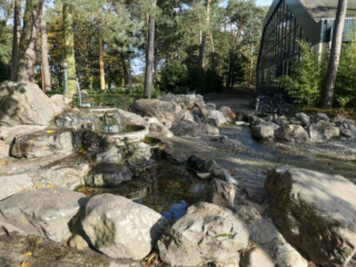 Center Parcs De Kempervennen