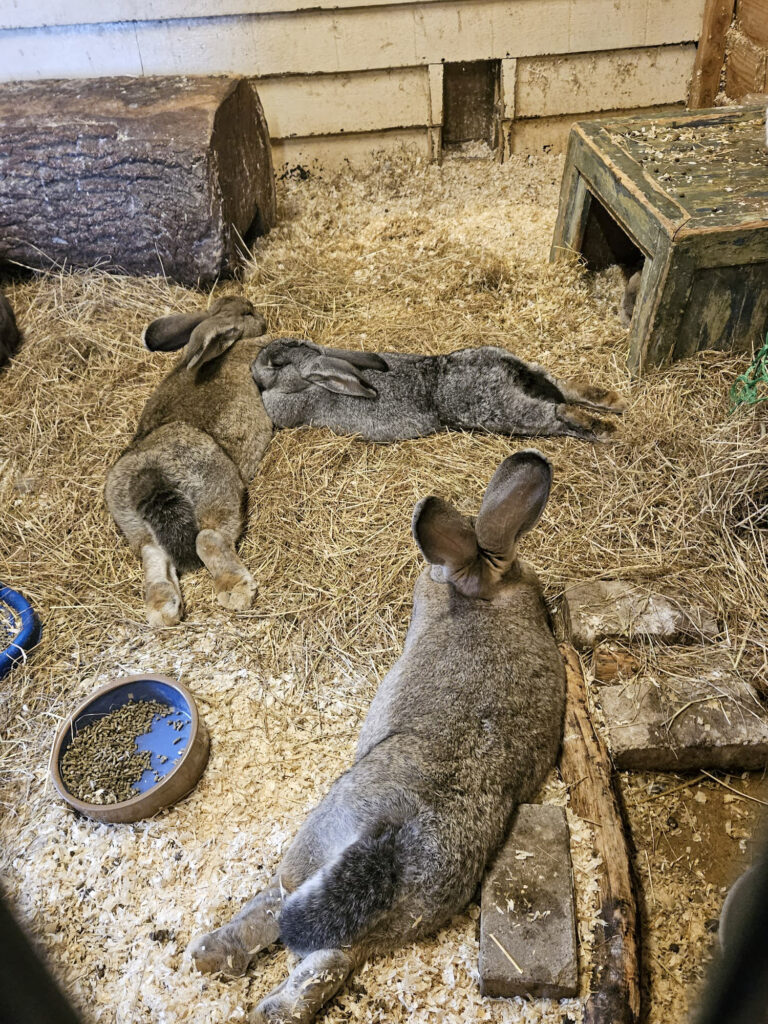 Center Parcs De Kempervennen