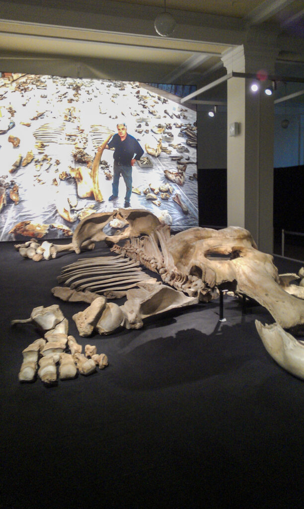 Naturkundemuseum Berlin