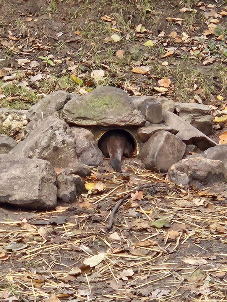 Center Parcs De Kempervennen