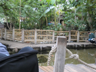 Center Parcs De Kempervennen