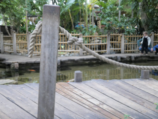 Center Parcs De Kempervennen
