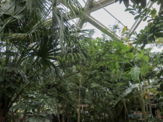 Center Parcs De Kempervennen