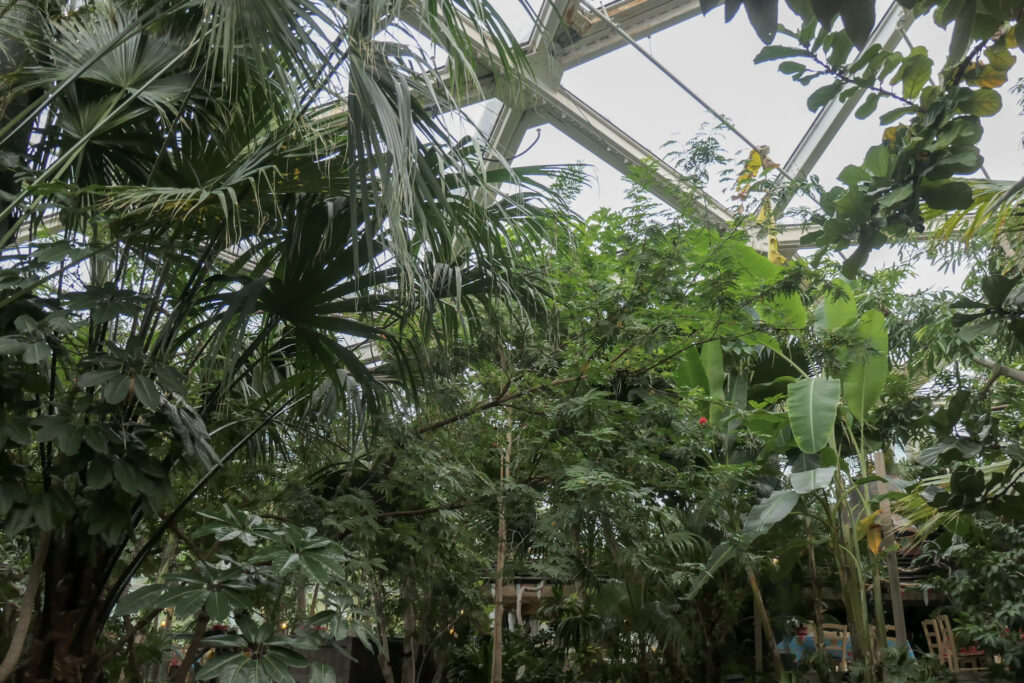 Center Parcs De Kempervennen