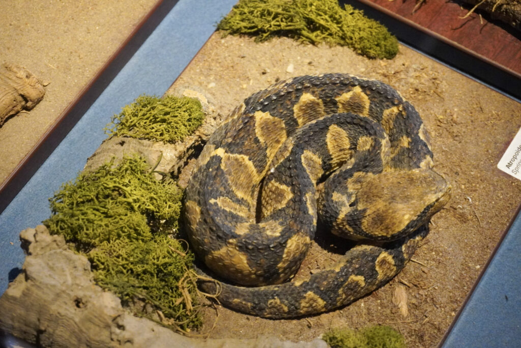Berkenhof 's Tropical Zoo