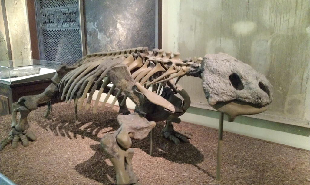 Naturkundemuseum Berlin