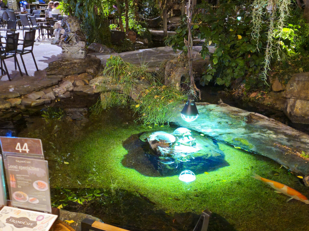 Center Parcs De Kempervennen