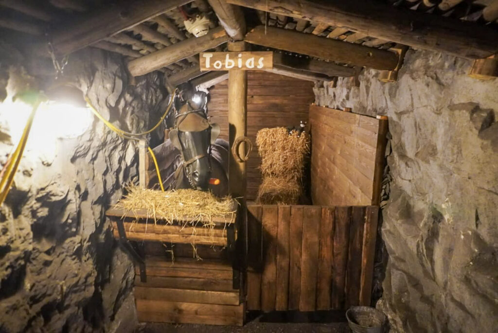 Deutsches Bergbau-Museum Bochum