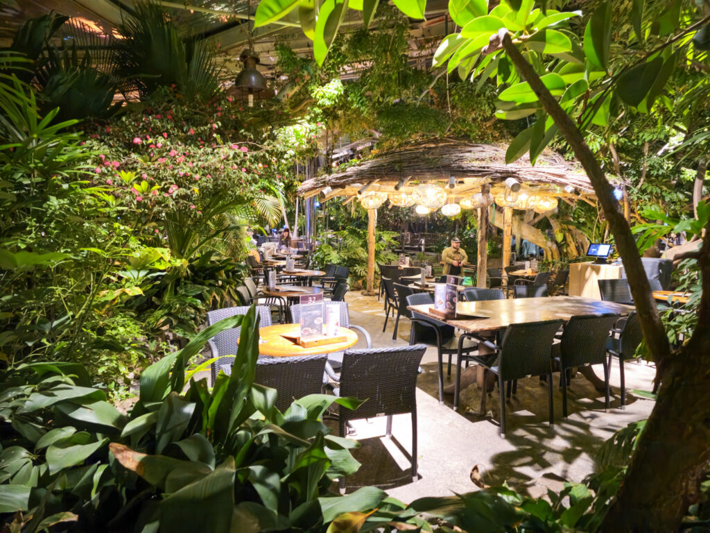 Center Parcs De Kempervennen