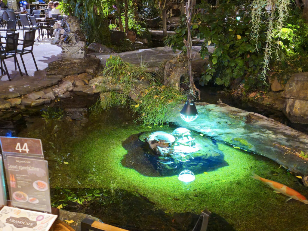 Center Parcs De Kempervennen