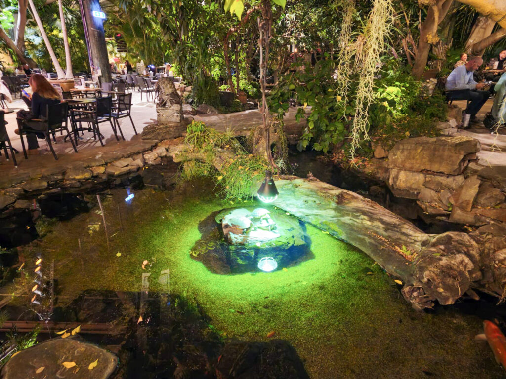 Center Parcs De Kempervennen