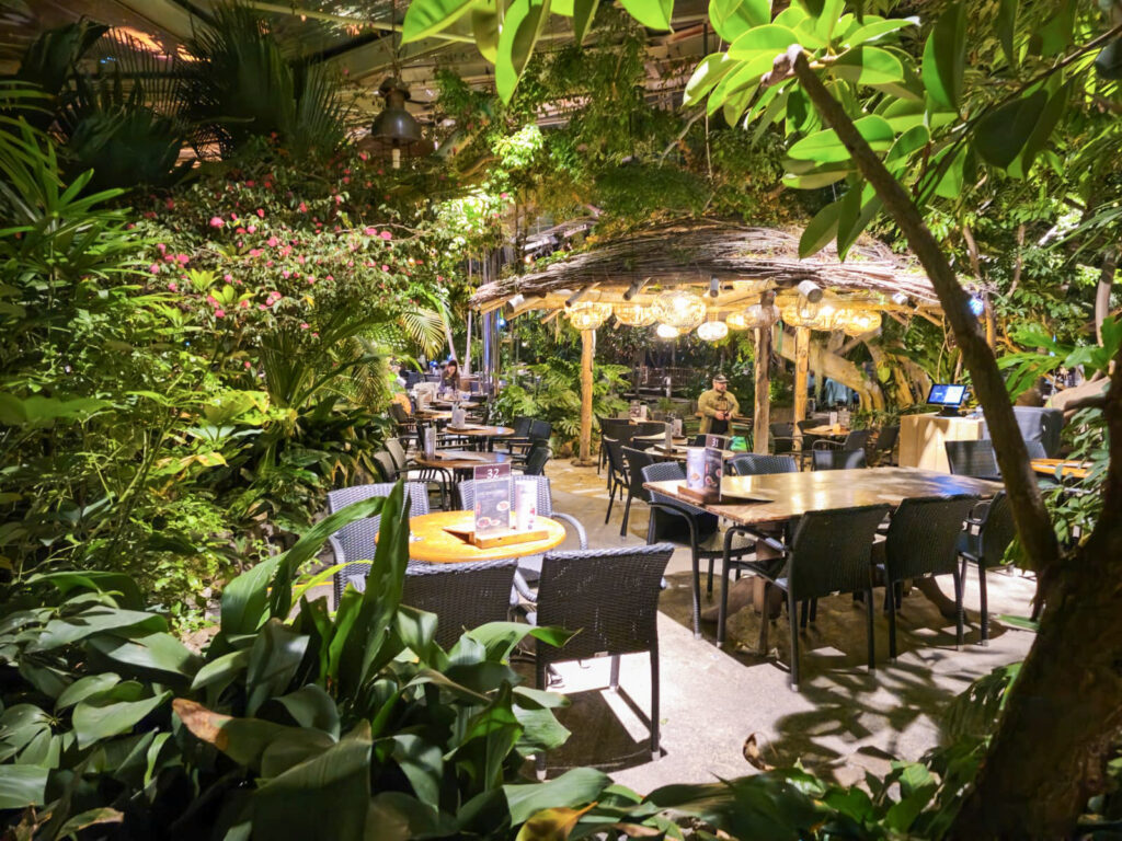 Center Parcs De Kempervennen