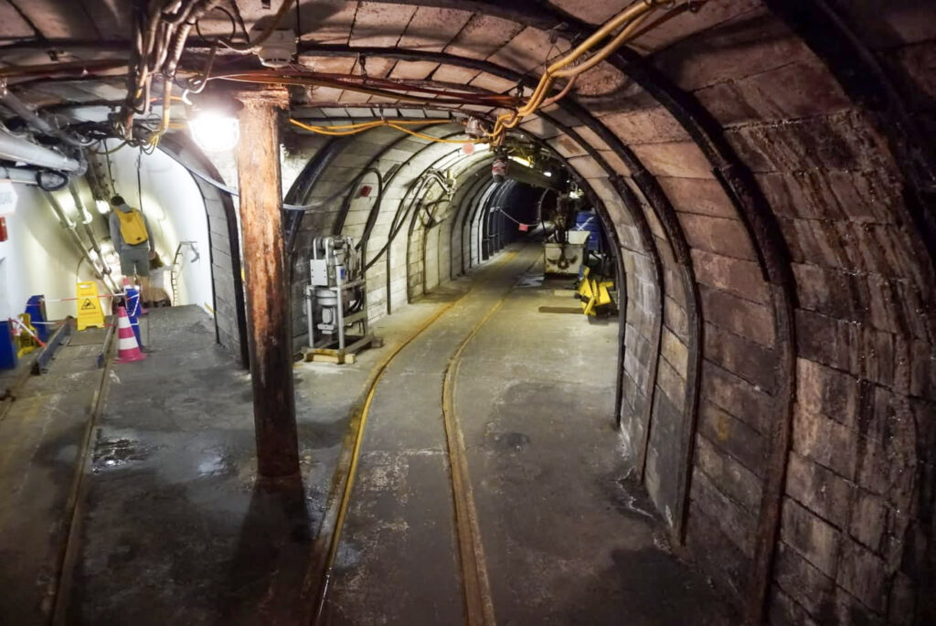 Deutsches Bergbau-Museum Bochum