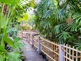 Center Parcs De Kempervennen