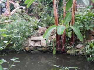 Berkenhof 's Tropical Zoo