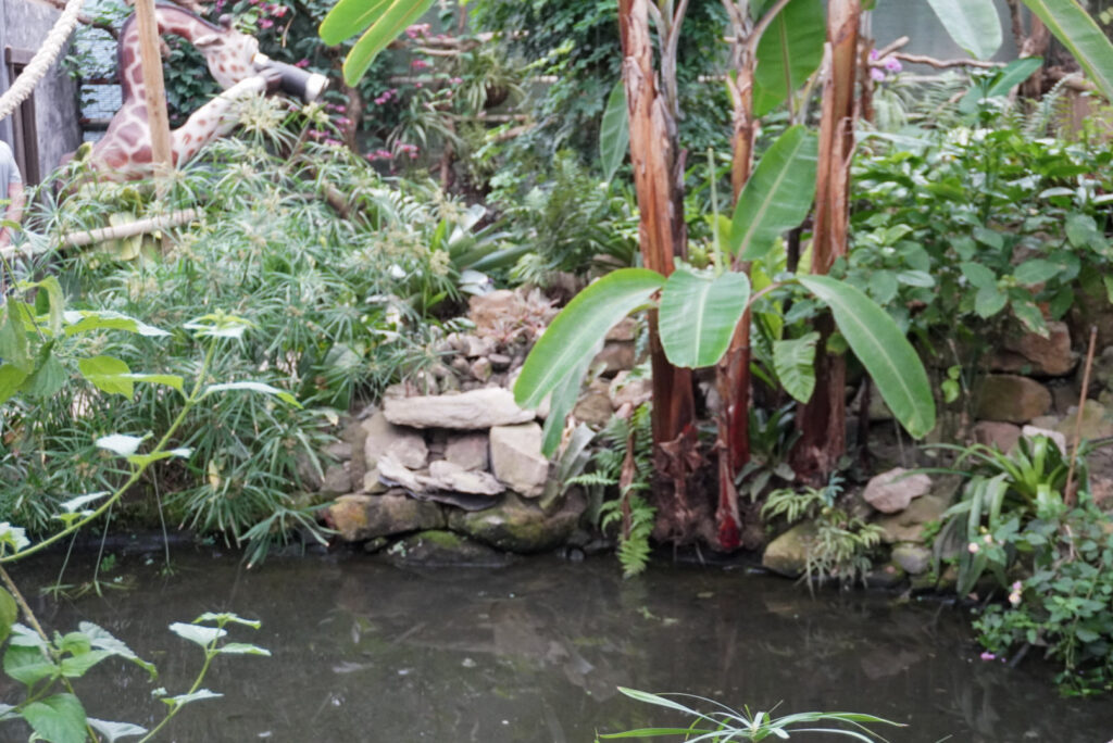 Berkenhof 's Tropical Zoo