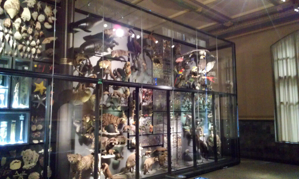 Naturkundemuseum Berlin