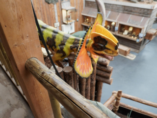 Berkenhof 's Tropical Zoo