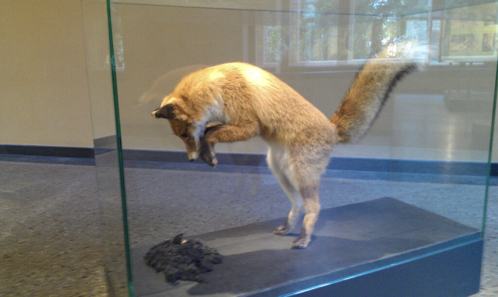 Naturkundemuseum Berlin