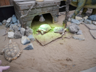 Berkenhof 's Tropical Zoo