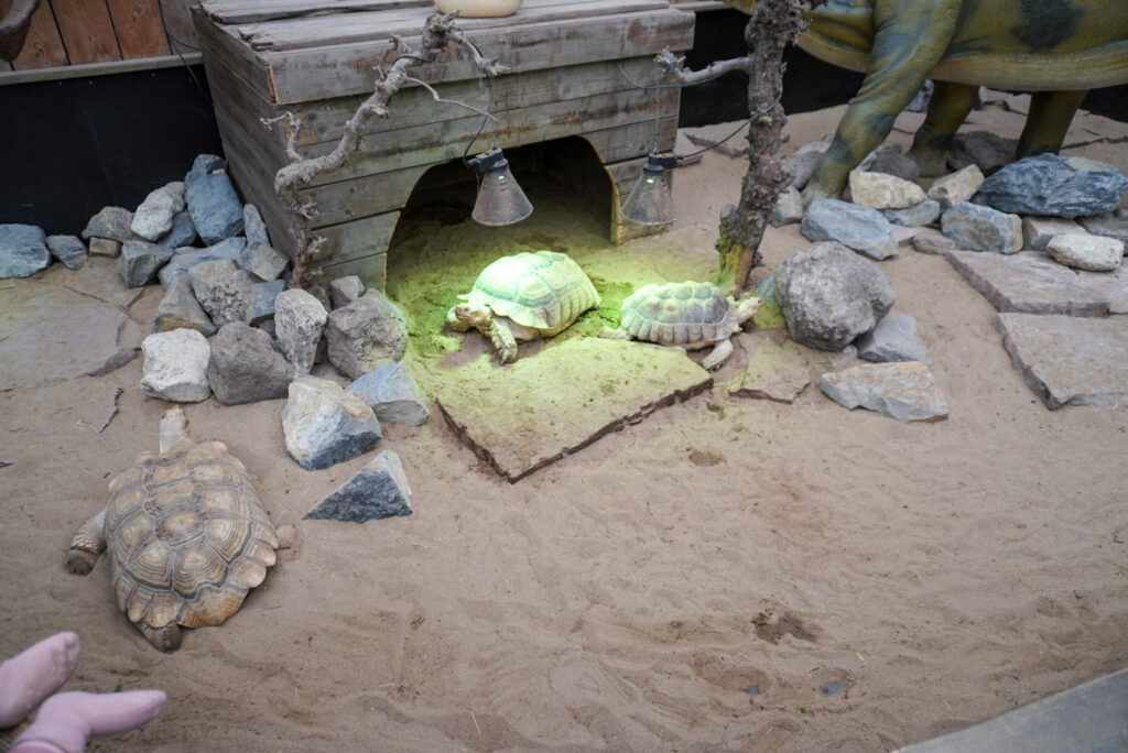 Berkenhof 's Tropical Zoo