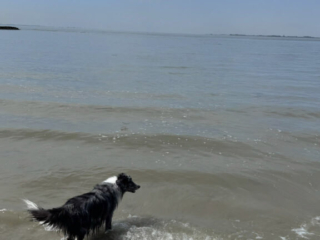 Zeeland Zeeland