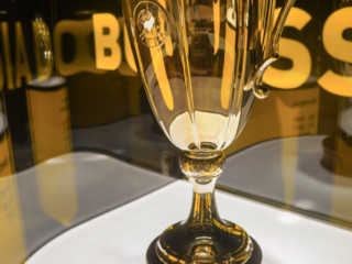 Signal Iduna Park und Borruseum Signal Iduna Park und Borruseum