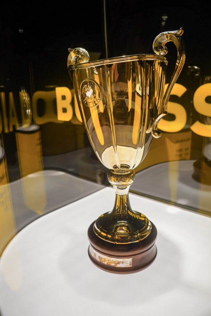 Signal Iduna Park und Borruseum