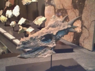 Naturkundemuseum Berlin