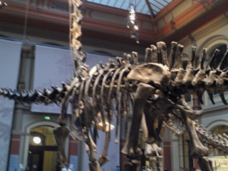 Naturkundemuseum Berlin