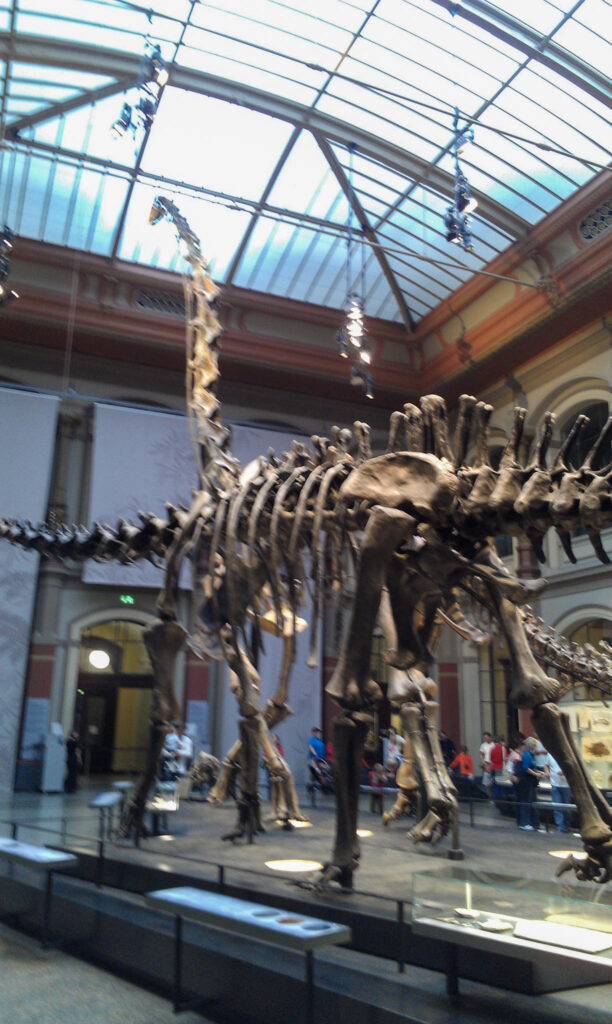 Naturkundemuseum Berlin