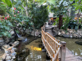 Center Parcs De Kempervennen