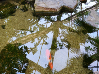 Center Parcs De Kempervennen