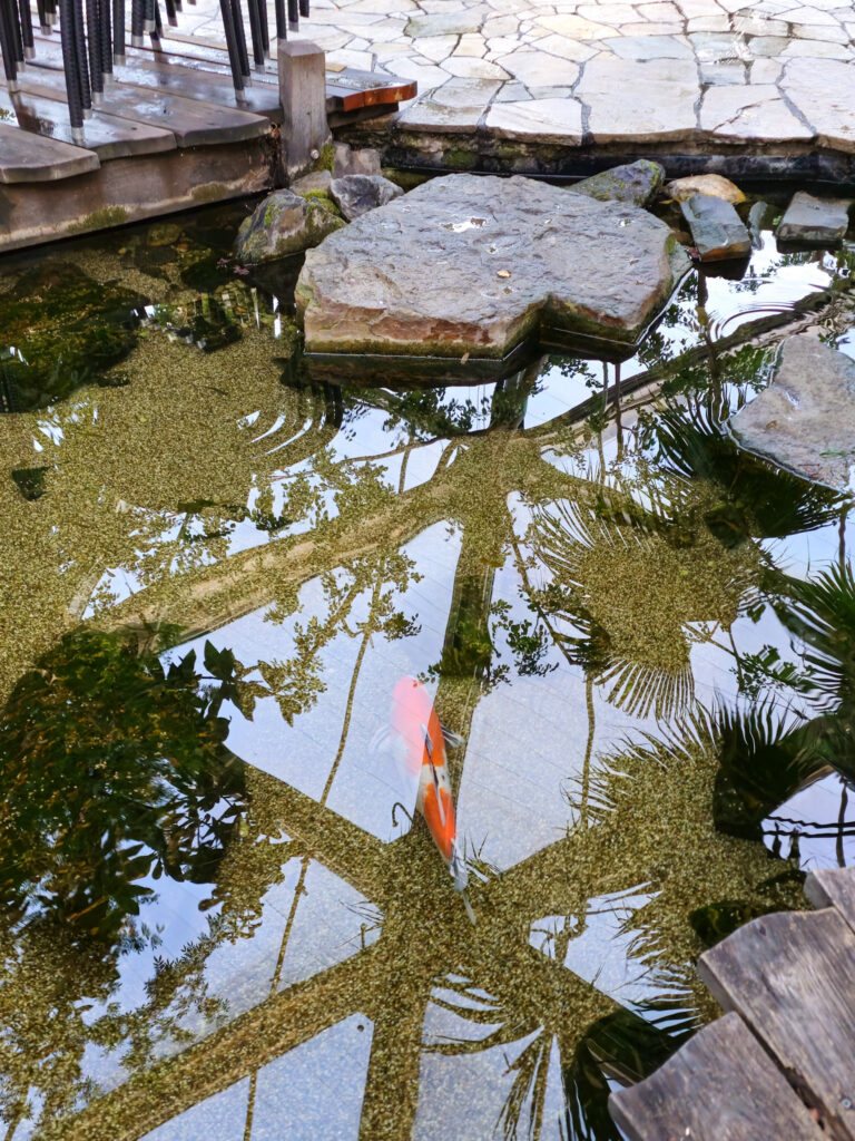 Center Parcs De Kempervennen