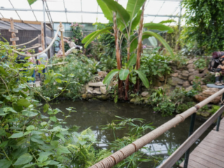 Berkenhof 's Tropical Zoo