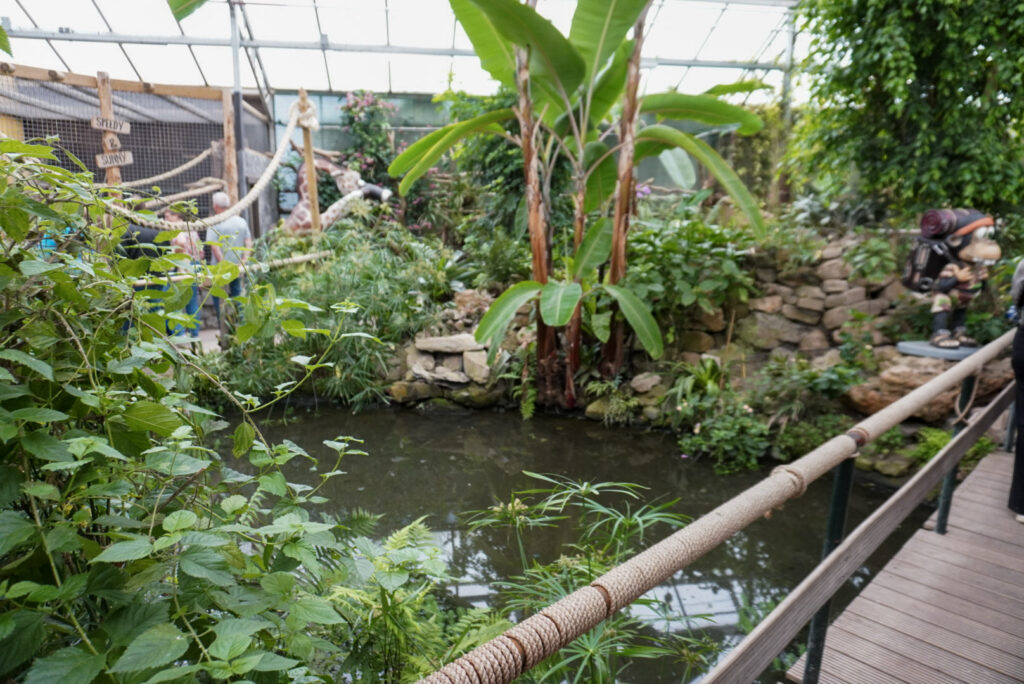 Berkenhof 's Tropical Zoo