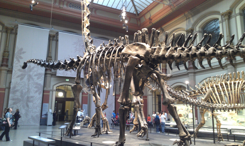 Naturkundemuseum Berlin