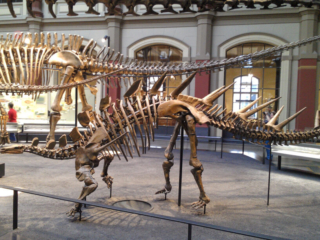 Naturkundemuseum Berlin
