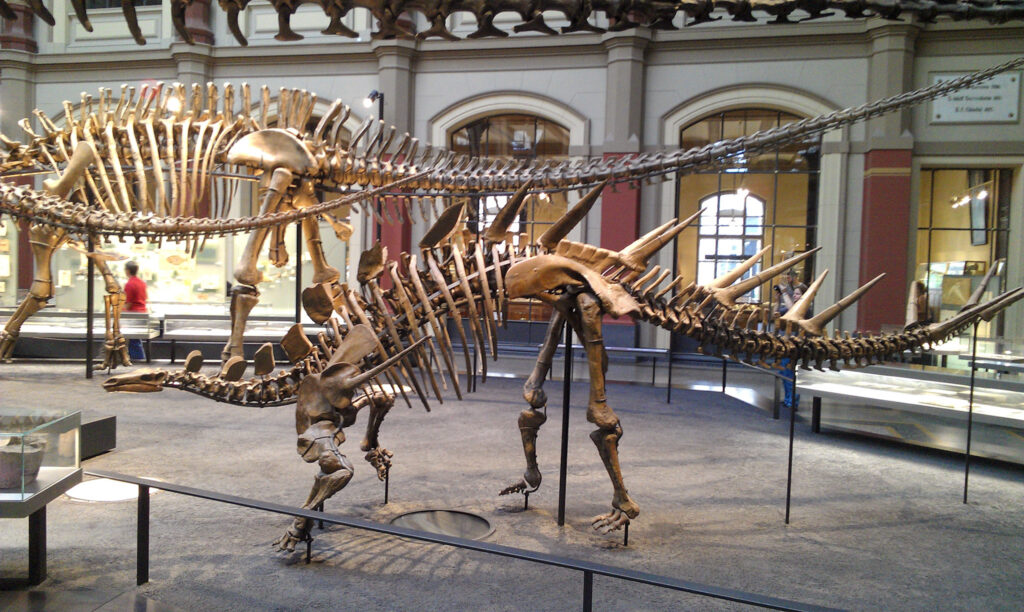 Naturkundemuseum Berlin