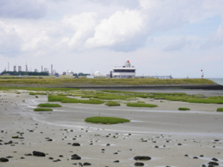 Zeeland Zeeland