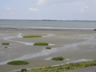 Zeeland Zeeland