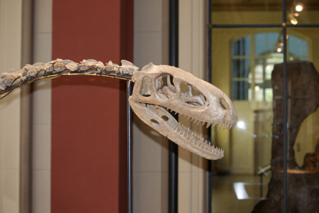 Naturkundemuseum Berlin