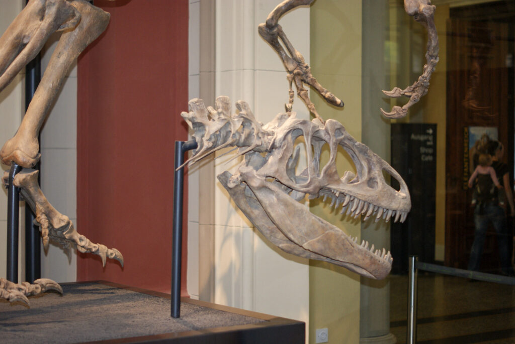 Naturkundemuseum Berlin