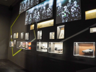 Deutsches Sport und Olympia Museum
