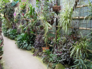 Berkenhof 's Tropical Zoo