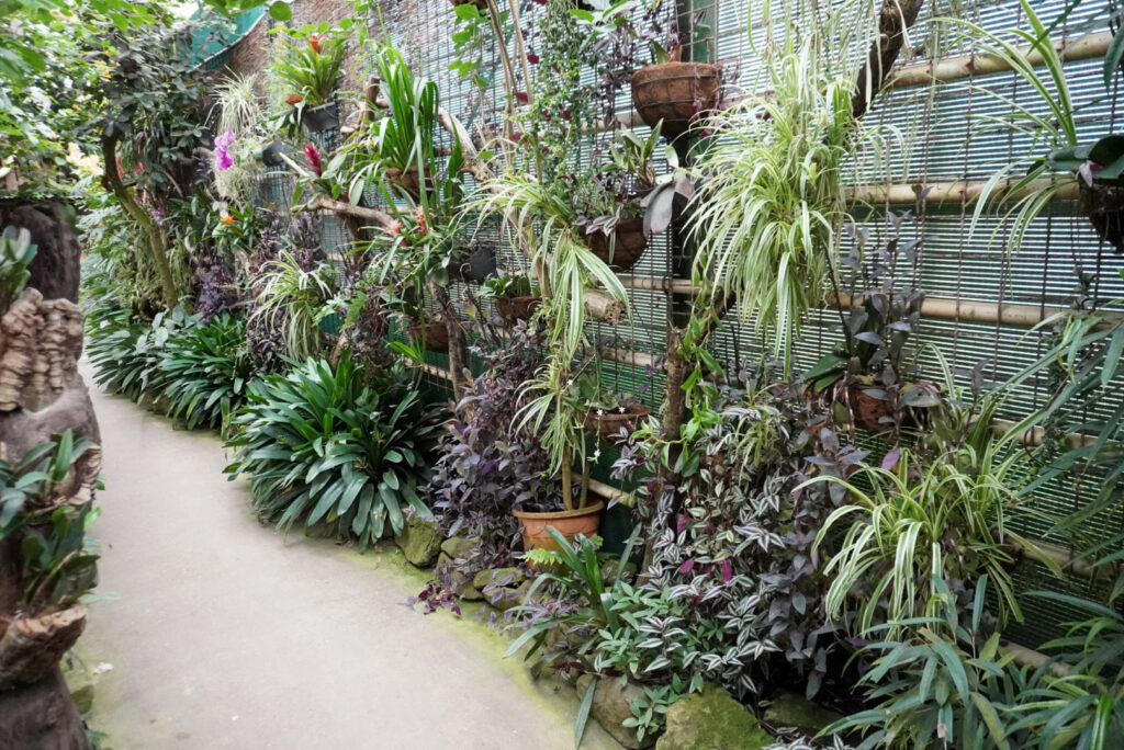 Berkenhof 's Tropical Zoo