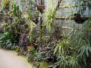 Berkenhof 's Tropical Zoo