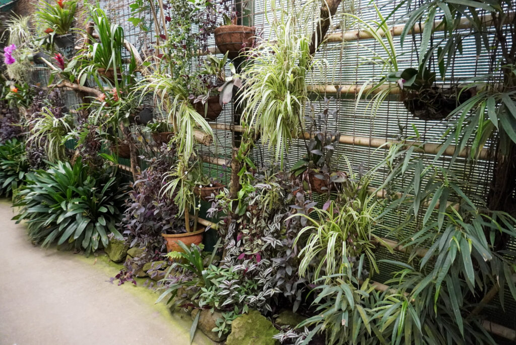Berkenhof 's Tropical Zoo