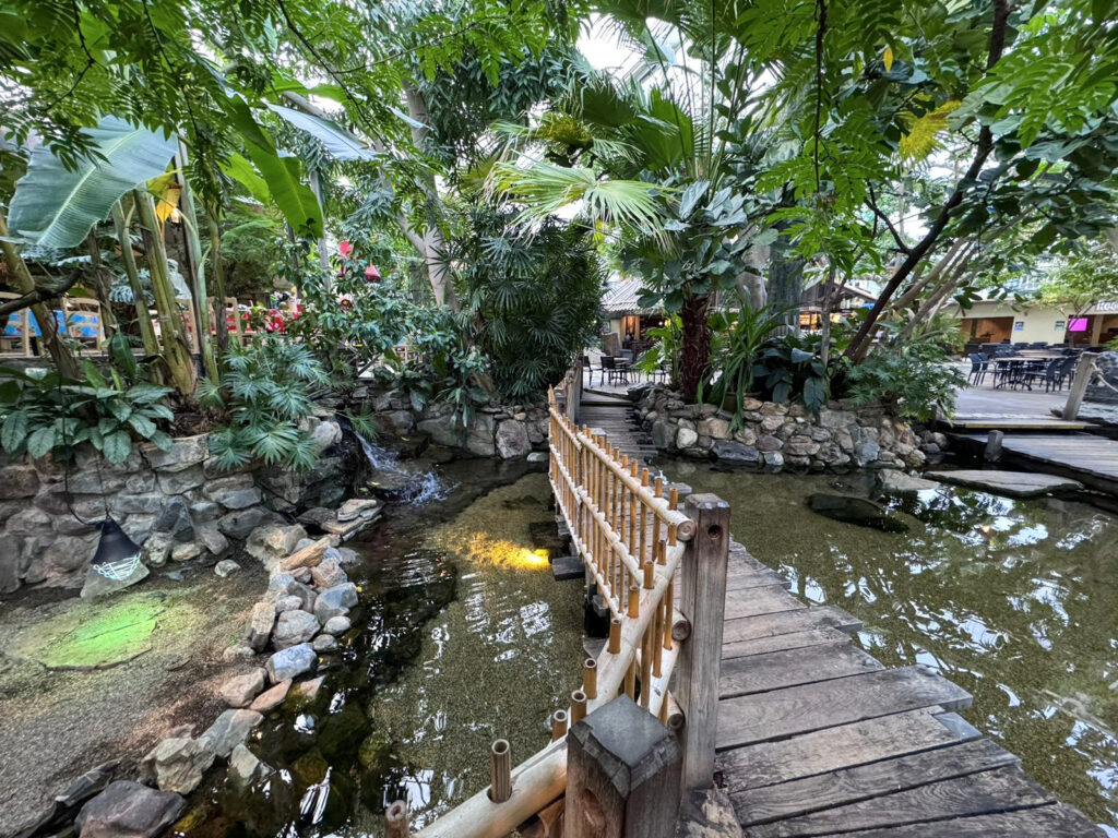 Center Parcs De Kempervennen